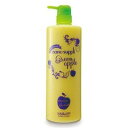 サニープレイス ナノサプリ エッセンスコンデ グリーンアップル 1000ml