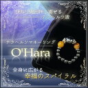 【金運 リング】O'Hara-テラヘルツマネーリング-【開運/金運/恋愛運/仕事運/開運グッズ/テラヘルツ/タイガーアイ/ヘマタイト】シリーズ第二弾!!金運を運ぶ秘石の指輪☆品質証明書付【送料無料】