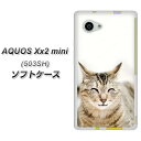 AQUOS Xx2 mini 503SH TPU ソフトケース / やわらかカバー【VA801 笑福ねこ 素材ホワイト】 UV印刷 シリコンケースより堅く、軟性のあるTPU素材(アクオス ダブルエックス2 ミニ 503SH/503SH/スマホケース)