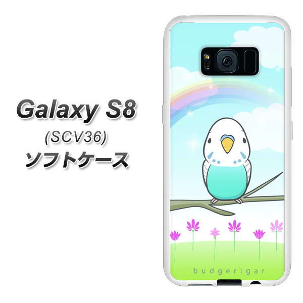 Galaxy S8 SCV36 TPU ソフトケース / やわらかカバー【SC839 セキセイインコ ブルー 素材ホワイト】 UV印刷 シリコンケースより堅く、軟性のあるTPU素材(ギャラクシーS8 SCV36/SCV36/スマホケース)