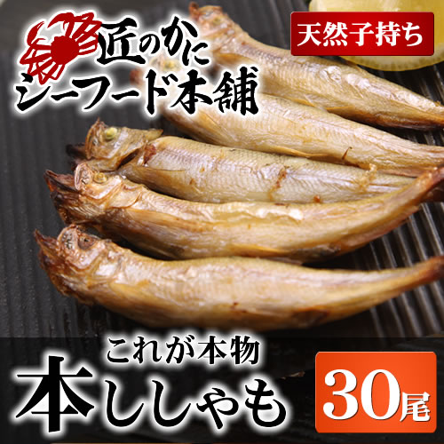 海鮮 ギフト【送料無料】本ししゃも 30尾（子持ち天然）【干物/ひもの/ヒモノ/北海道/一…...:seafoodhonpo:10000139