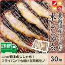 ししゃも 国産 北海道産 30尾 子持ち 天然 シシャモ 魚 ギフト 御歳暮 本ししゃも 送料無料