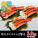 【お中元/御中元/のし対応】【送料無料】特大「ボイ