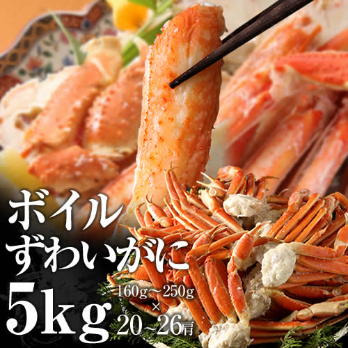 󂠂ł͂܂@iu{C킢Ivp@K茨5kgyzy/Jj/I/킢/ɂ/I//p/yzHi ށEV[t[h Jj YCKj {C