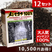 メシマコブ100％ 12箱セット1箱当り8,050円国内製造・完全無添加濃縮・粉末タイプ〔あす楽対応〕