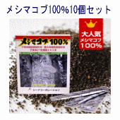 メシマコブ100％ 10箱セット〔あす楽対応〕送料無料国内製造・完全無添加濃縮・粉末タイプ・細胞壁破砕＋27倍濃縮エキス末配合