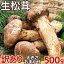 【予約7月下旬】生松茸 ちょっと訳あり 約500g <開き方・大きさおまかせ> 空輸 中国雲南産 当店厳選フレッシュ松茸 鮮度優先 生鮮マツタケ 秋の味覚 旬の味の王様 高級キノコ 家庭用 業務用 お中元 贈答品用 敬老の日ギフト 期間限定【国内手作業検品】<早割ポイントUP> 8,980円