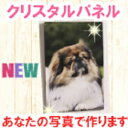 クリスタルパネル KR1510 ペット 犬 猫 写真たて デジカメプリント デジカメアクセサリー 壁掛け フォトフレーム メモリアル パネル 写真加工