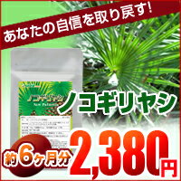 〓★ノコギリヤシ★〓（約6ヵ月分）■メール便送料無料■代引・日時指定不可ボリュームが気になる方、ヘアアレンジを楽しみたい方、長距離移動が心配な方、就寝中に心配がある方へおススメです。