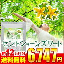 【メール便で送料無料】〓★セントジョーンズワート★〓《約12ヵ月分》■メール便送料無料■代引・日時指定不可【RCP】サプリ/セントジョーンズサプリ【1福】送料無料【54sen】