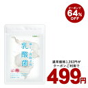 【クーポンで499円】乳酸菌《3ヵ月分》 乳酸菌ソフトカプセル★《約3ヵ月分》サプリ/乳