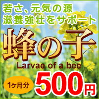 〓　蜂の子　〓9種類必須アミノ酸をはじめ18種類以上のアミノ酸や各種ミネラル、ビタミン、亜鉛など様々な栄養素を含む、高級食材の蜂の子サプリです！健康維持＆元気チャージにオススメ♪本日ポイント最大28倍