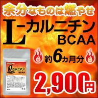 〓★L-カルニチン　BCAA★〓（約6ヵ月分）□メール便送料無料【SBZcou1208】