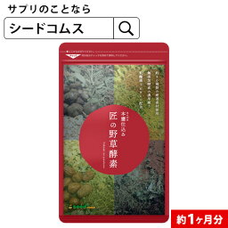 匠の野草酵素(約1ヶ月分)ダイエット サプリ送料無料 サプリ サプリメント 酵素 野草酵素 健康食品 野菜不足 乳酸菌 ビタミンC 葉酸 ビタミンB うこん 田七人参 イチョウ はと麦 高麗人参 マカ