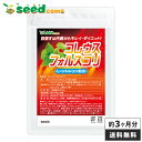 【エントリーで500円以上購入!100ポイントGET】コレウ...