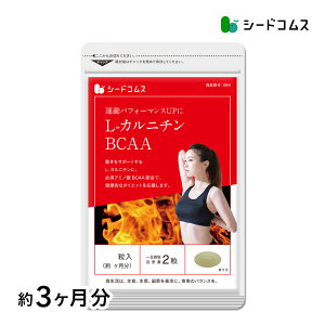 L-カルニチン　BCAA 約3ヵ月分　【seedcoms_D】3D