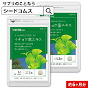 【メール便で送料無料】〓★イチョウ葉エキス★〓《約6ヵ月分》■ネコポス送料無料【サプ