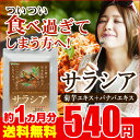 【年末スーパーセール】サラシア 約1ヵ月分 送料無料 サプリ...