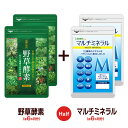 〓★野草酵素★マルチミネラル〓《各約6ヵ月分ずつの合計約12ヵ月分》■ネコポス送料無料酵素サプリ/サプリ/酵素ダイエット/サプリ/酵素サプリメント/ダイエット/hahu1