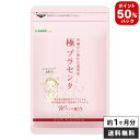 ポイント50%バック中【エントリーで最大+19倍】極プラセンタ 約1ヵ月分 送料無料 プラセンタサプ...