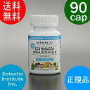 エクレクティック エキナセア 90粒 正規品 EclecticInstitute Inc. Echinacea 口コミでおすすめ。安心安全( ハーブサプリメント サプリ supplement ハ-ブ )あす楽ф