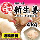 生産量全国2位 新しょうが 約4kg 箱入り 新生姜 【和歌山産】【新生姜】【新ショ