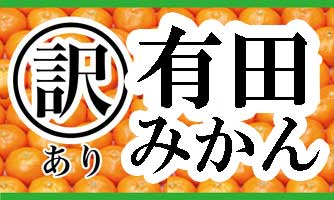 ☆☆数量限定！あとわずか☆旬の有田みかん10kg・わけあり・サイズふぞろい・サイズ指定なし・送料無料　 　有田みかん。わけありだから出せるこの価格！