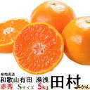 「高級 田村みかん」5kg・特選(赤秀)・Sサイズ 【送料無料】紀州和歌山有田 旬の和歌山有田たむらみかん