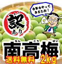 【送料無料】【訳あり(色混/傷等)】紀州和歌山産 田辺市場!...