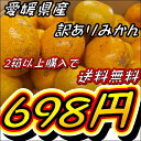 【訳あり】愛媛みかん(約2.5kg)【愛媛県産】【