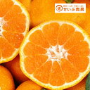 【バラ詰】愛媛みかん 約10kg【愛媛県...