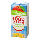 【送料無料】100%ジュース アップル1L 6本入セイコーマート セコマ せいこーまーと せこま 1000ml 1l 6本入 紙パック 青森県産 りんご アップル 果汁100%