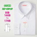 スクールシャツ 長袖 女子 形態安定 抗菌防臭 立衿 (B体 160B~170B) (スクール/ブラウス/シャツ/長袖/白/制服/女子/レディース/ブランド/人気/通学/中学生/高校生/学生/入学)(店頭受取対応商品)