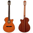 【Ibanez アイバニーズ AEG10NII ナイロンストリング Cutaway エレアコ Tangerine アコースティックギター アコギ ギター (並行輸入)】 b00ba0pdhe