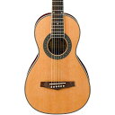 【Ibanez アイバニーズ PN1 Natural Parlor アコースティックギター アコースティックギター アコギ ギター (並行輸入)】 b00tin3rtg
