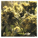 【送料無料】【Kushbush/Music for Grass Bars Special Edition】 b00b4l2ubg