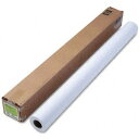 ☆春の特別企画☆エントリーで当店全品ポイント5倍!【hewc6569 C HPコート紙】 b014ro5vnu