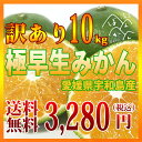 【愛媛県宇和島産 極早生みかん】送料無料 訳あり10kg S〜L みため×おいしさ◎ 清家ばんかんビレッジ(ごくわせみかん/日南1号)