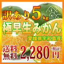 【愛媛県宇和島産 極早生みかん】送料無料 訳あり5kg S〜L みため×おいしさ◎ 清家ばんかんビレッジ(ごくわせみかん/日南1号)
