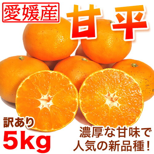 【送料無料】訳あり甘平 5kg 愛媛県産【人気の贅沢みかん】...:seikebv:10000114