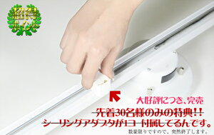簡易取付式ダクトレールリモコン・壁掛けホルダー付属リモコン付ライティングレール