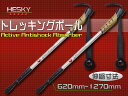 【5セット限定 ポイント10倍】【2本セット】シルバー 04...