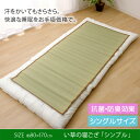 シングルサイズ い草 寝ござ シーツ「 シンプル 」【IB】...