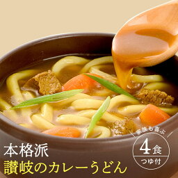 <strong>カレーうどん</strong> 讃岐うどん 250g　2袋 カレースープ付 お試し カレー 楽天限定販売 讃岐カレー 辛口 濃厚スープ【送料無料 メール便】