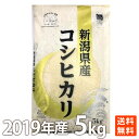 ポイント消化 2019年産 新潟県コシヒカリ5kg 送料無料