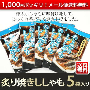 ししゃも 炙り焼きししゃも5袋セット おつまみ 1000円ポッキリ メール便 送料無料