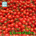 【送料無料】高知産ミニトマト 約 1Kg ただし北海道沖縄は送料600円のご負担お願いします。