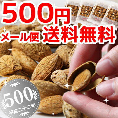 アーモンド ナッツ 殻付 ロースト （塩味） 50g×4個 メール便送料無料