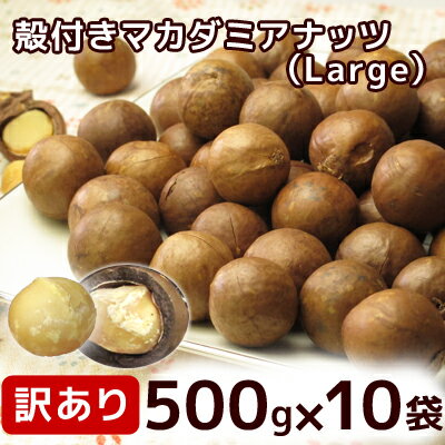 殻付き マカダミアナッツ （Large） 500g×10袋 