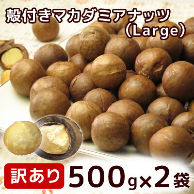 殻付き マカダミアナッツ （Large） 500g×2袋